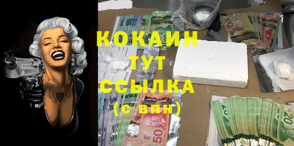 дурь Елизово
