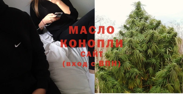 дурь Ельня