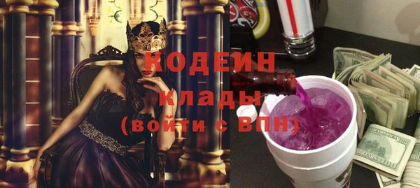 дурь Елизово