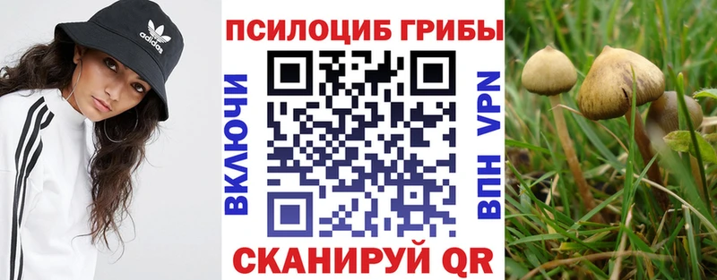 ссылка на мегу ссылка  Ефремов  Псилоцибиновые грибы Magic Shrooms 
