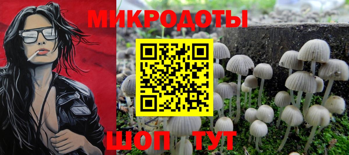 Галлюциногенные грибы Magic Shrooms Ефремов