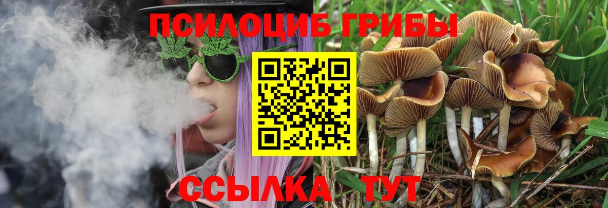 Галлюциногенные грибы Magic Shrooms  Вход с VPN  Ефремов 